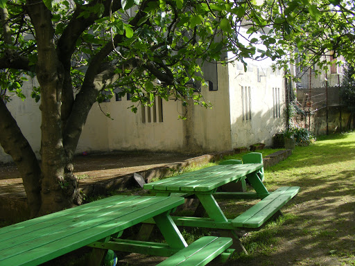 MDV - Movimento Defesa da Vida banner